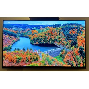 panasonic-tx-48mz800e